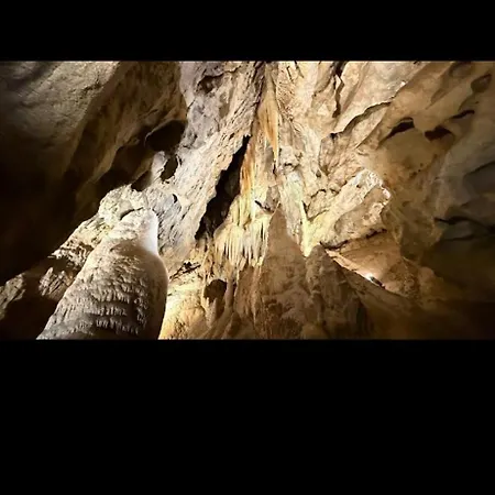 Bystra 14 דירה ברזנו